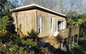 Tree Top Cabin树上小木屋bay Of Islands, Paihia